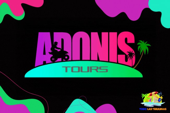 Rent a car adonis tours excursiones mejores atv alquiler vehiculos autos automobiles coches pasolas motos monteo quads forweels buggys todo las terrenas samana (01RFG)